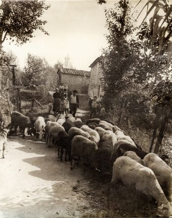 Album contenente circa 60 fotografie.  - Auction Books, Manuscripts & Autographs - Libreria Antiquaria Gonnelli - Casa d'Aste - Gonnelli Casa d'Aste