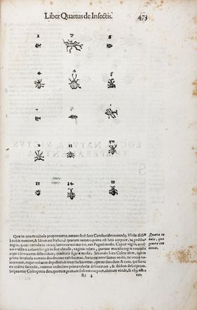  Aldrovandi Ulisse : De animalibus insectis libri septem, cum singulorum iconibus ad vivum expressis...  Andrea Salmincio  - Asta Libri & Grafica. Parte II: Autografi, Musica & Libri a Stampa - Libreria Antiquaria Gonnelli - Casa d'Aste - Gonnelli Casa d'Aste