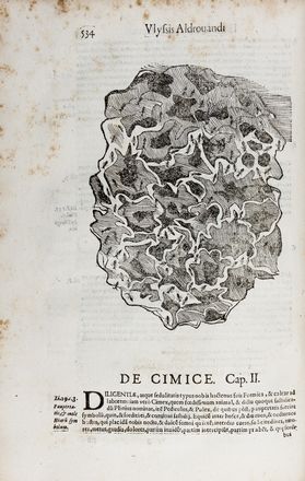  Aldrovandi Ulisse : De animalibus insectis libri septem, cum singulorum iconibus ad vivum expressis...  Andrea Salmincio  - Asta Libri & Grafica. Parte II: Autografi, Musica & Libri a Stampa - Libreria Antiquaria Gonnelli - Casa d'Aste - Gonnelli Casa d'Aste