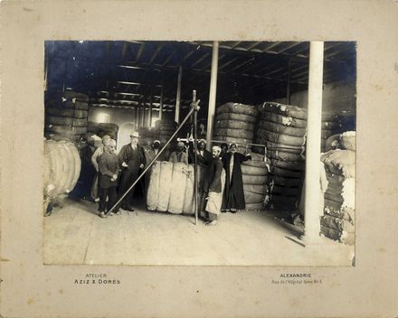  Veduta : Raccolta di 5 fotografie raffiguranti oleifici di Tripoli e attività di lavoro di Alessandria.  - Auction Books & Graphics. Part II: Books, Manuscripts & Autographs - Libreria Antiquaria Gonnelli - Casa d'Aste - Gonnelli Casa d'Aste