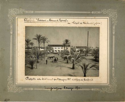  Veduta : Raccolta di 5 fotografie raffiguranti oleifici di Tripoli e attività di lavoro di Alessandria.  - Auction Books & Graphics. Part II: Books, Manuscripts & Autographs - Libreria Antiquaria Gonnelli - Casa d'Aste - Gonnelli Casa d'Aste
