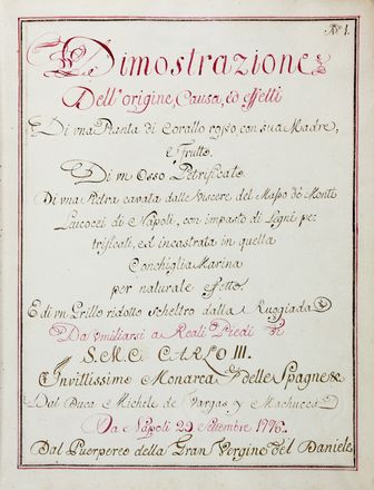  Vargas Macciucca Michele : Dimostrazione dell'origine, causa, ed effetti di una pianta di corallo rosso [...]. Di un osso pietrificato. Di una pietra cavata dalle viscere del mapo di Monti Leucocci di Napoli [...]. E di un grillo ridotto scheletro dalla rugiada...  - Asta Libri & Grafica. Parte II: Autografi, Musica & Libri a Stampa - Libreria Antiquaria Gonnelli - Casa d'Aste - Gonnelli Casa d'Aste