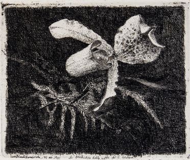  Lino Bianchi Barriviera  (Montebelluna, 1906 - Acilia, 1985) : Lotto composto di 2 acqueforti.  - Asta Libri & Grafica. Parte I: Stampe, Disegni & Dipinti - Libreria Antiquaria Gonnelli - Casa d'Aste - Gonnelli Casa d'Aste