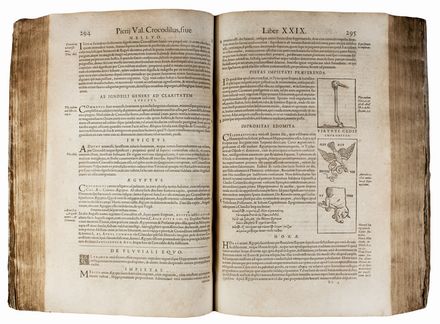  Valeriano Pierio : Hieroglyphica, seu de sacris Aegyptiorum, aliarumque gentium literis commentarii...	 Egittologia, Figurato, Occultismo, Storia, Diritto e Politica, Collezionismo e Bibliografia  - Auction Books & Graphics. Part II: Books, Manuscripts & Autographs - Libreria Antiquaria Gonnelli - Casa d'Aste - Gonnelli Casa d'Aste