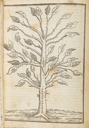  Boccaccio Giovanni : Geneologia de gli dei. I quindeci libri [...] sopra la origine et discendenza di tutti gli dei de' gentili [...]. Tradotti et adornati per messer Giuseppe Betussi da Bassano... Letteratura italiana, Mitologia, Letteratura, Religione  Giusepp Betussi  - Auction Books & Graphics - Libreria Antiquaria Gonnelli - Casa d'Aste - Gonnelli Casa d'Aste