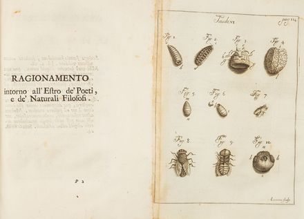  Vallisneri Antonio : Esperienze, ed osservazioni intorno all'Origine, Sviluppi, e Costumi di vari Insetti, con altre spettanti alla Naturale, e Medica Storia...  - Asta Libri & Grafica - Libreria Antiquaria Gonnelli - Casa d'Aste - Gonnelli Casa d'Aste