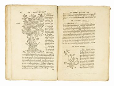  Gessner Conrad : De raris et admirandis herbis, quae sive quod noctu luceant, sive alias ob causas, lunariae nominantur, commentariolus: & obiter de aliis etiam rebus quae in tenebris lucent...  - Asta Libri & Grafica - Libreria Antiquaria Gonnelli - Casa d'Aste - Gonnelli Casa d'Aste