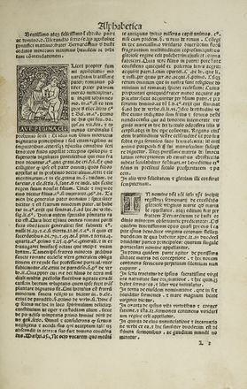  Busti Bernardino : Mariale. Add: Domenico Ponzoni. Incunabolo, Religione, Collezionismo e Bibliografia  Domenico Ponzoni  - Auction Books & Graphics - Libreria Antiquaria Gonnelli - Casa d'Aste - Gonnelli Casa d'Aste