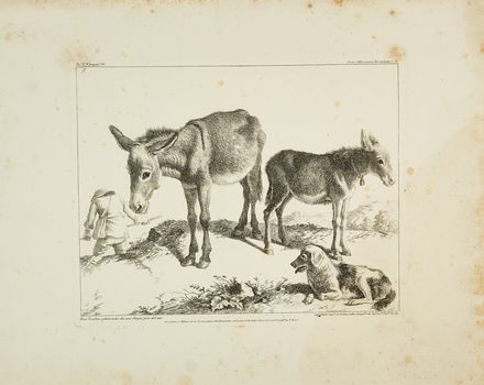  Francesco Londonio  (Milano, 1723 - 1783) : Lotto di 29 tavole da Collezione completa/di tutte/le stampe originali/in settantaquattro tavole divise in sette serie...di Francesco Londonio, contenente ritratto e vita del suddetto autore  - Auction Books & Graphics - Libreria Antiquaria Gonnelli - Casa d'Aste - Gonnelli Casa d'Aste