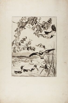  F�lix Bracquemond  (Parigi, 1833 - 1914) : Lotto composto di 8 incisioni.  - Asta Libri & Grafica - Libreria Antiquaria Gonnelli - Casa d'Aste - Gonnelli Casa d'Aste