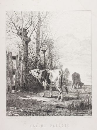  Bartolomeo Ardy  (Saluzzo, 1821 - Torino, 1887) [e altri] : Lotto composto di 20 incisioni.  Carlo Chessa  (Cagliari, 1855 - Torino, 1912), Francesco Gamba  (Torino, 1818 - 1887), Domenico Casella  (Genova, 1856 - 1925), Ferdinando Di Breme Di Sartirana  (Milano, 1807 - Firenze, 1869), Luigi Conconi  (Milano, 1852 - 1917), Ottaviano Giovanni Rapetti  (Torino, 1849 - 1931), Alberto Maso Gilli  (Chieri, 1840 - Calvi, 1894), Alessandro Balduino  (Torino, 1849 - 1891), Lorenzo Delleani  (Pollone Biellese, 1840 - Torino, 1908), Francesco Gonin  (Torino, 1808 - Giaveno, 1889)  - Asta Libri & Grafica - Libreria Antiquaria Gonnelli - Casa d'Aste - Gonnelli Casa d'Aste
