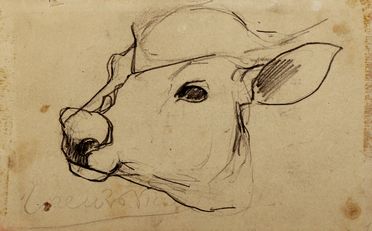  Lorenzo Viani  (Viareggio, 1882 - Ostia, 1936) : Mucca.  - Asta Libri & Grafica - Libreria Antiquaria Gonnelli - Casa d'Aste - Gonnelli Casa d'Aste