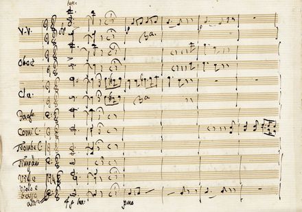  Mayr Johann Simon : Elisa / Farsa Sentimentale Posta in / Musica / Da [...] Simone Mayer [sic!] / in S. Benedetto / l?estate / 1805 [seguono i nomi dei personaggi e degli interpreti]. Musica, Musica, Teatro, Spettacolo  - Auction Books & Graphics - Libreria Antiquaria Gonnelli - Casa d'Aste - Gonnelli Casa d'Aste