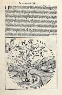  Michael Wolgemut  (Norimberga, 1434 - 1519) : La creazione del firmamento (r). La creazione dei pesci e degli uccelli (v).  - Asta Libri & Grafica - Libreria Antiquaria Gonnelli - Casa d'Aste - Gonnelli Casa d'Aste