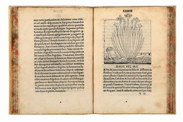 [Tractatus de virtutibus herbarum]. Incunabolo, Botanica, Figurato, Scienze naturali, Collezionismo e Bibliografia, Scienze naturali, Collezionismo e Bibliografia  Arnaldo de Vilanova  - Auction Books & Graphics - Libreria Antiquaria Gonnelli - Casa d'Aste - Gonnelli Casa d'Aste