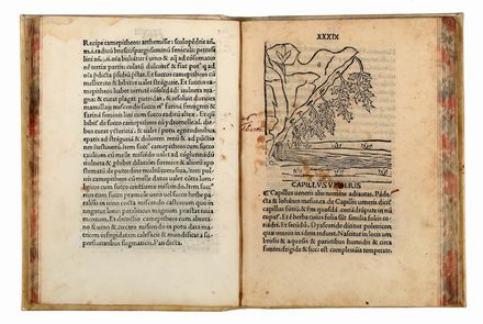 [Tractatus de virtutibus herbarum]. Incunabolo, Botanica, Figurato, Scienze naturali, Collezionismo e Bibliografia, Scienze naturali, Collezionismo e Bibliografia  Arnaldo de Vilanova  - Auction Books & Graphics - Libreria Antiquaria Gonnelli - Casa d'Aste - Gonnelli Casa d'Aste