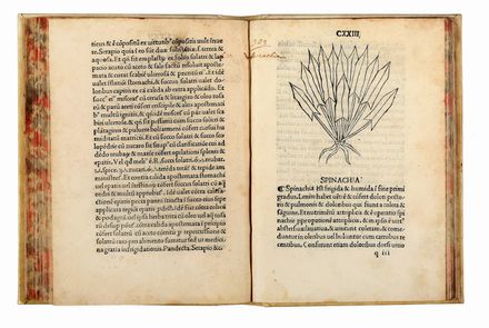 [Tractatus de virtutibus herbarum].  Arnaldo de Vilanova  - Asta Libri & Grafica - Libreria Antiquaria Gonnelli - Casa d'Aste - Gonnelli Casa d'Aste