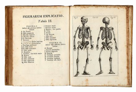  Pascoli Alessandro : De homine sive de corpore humano vitam habente, ratione tum prosperae, tum afflictae valetudinis libri tres...  - Asta Libri & Grafica - Libreria Antiquaria Gonnelli - Casa d'Aste - Gonnelli Casa d'Aste