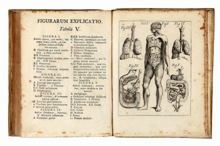 Pascoli Alessandro : De homine sive de corpore humano vitam habente, ratione tum prosperae, tum afflictae valetudinis libri tres...  - Asta Libri & Grafica - Libreria Antiquaria Gonnelli - Casa d'Aste - Gonnelli Casa d'Aste