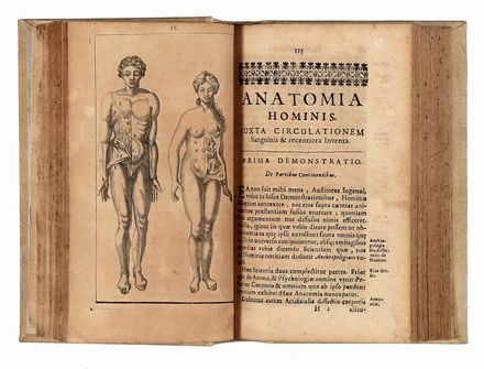  Dionis Pierre : Anatomia corporis humani, iuxta circulationem sanguinis & recentiores observationes: in Horto regio Parisino ab ipso autore demonstrata...  Johann Kaspar Morf  - Asta Libri & Grafica - Libreria Antiquaria Gonnelli - Casa d'Aste - Gonnelli Casa d'Aste