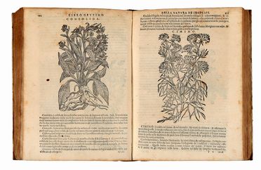  Da Vigo Giovanni : La prattica universale in cirugia. Di nuovo riformata, & dal latino ridotta à la sua vera lettura [...] con due Trattati di M. Gio. Andrea dalla Croce... Medicina, Chirurgia, Figurato, Medicina, Collezionismo e Bibliografia  Giovanni Andrea Della Croce  ( - 1575), Pietro Andrea Mattioli  (Siena, 1501 - Trento, 1578), Mariano Santo, Leonardo Fioravanti  - Auction Books & Graphics - Libreria Antiquaria Gonnelli - Casa d'Aste - Gonnelli Casa d'Aste
