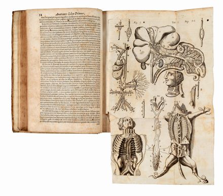  Dimerbroeck Ijsbrand (van) : Anatome Corporis Humani...  - Asta Libri & Grafica - Libreria Antiquaria Gonnelli - Casa d'Aste - Gonnelli Casa d'Aste