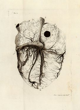  Senac Jean Baptiste : Trattato della struttura del cuore. Della sua azione e delle sue infermit� [...] Tradotto per la prima volta dal Francese. Tomo Primo (-Quarto).  Domanico Cagnoni  (Verona,  - 1797)  - Asta Libri & Grafica - Libreria Antiquaria Gonnelli - Casa d'Aste - Gonnelli Casa d'Aste