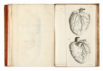  Senac Jean Baptiste : Trattato della struttura del cuore. Della sua azione e delle sue infermit� [...] Tradotto per la prima volta dal Francese. Tomo Primo (-Quarto).  Domanico Cagnoni  (Verona,  - 1797)  - Asta Libri & Grafica - Libreria Antiquaria Gonnelli - Casa d'Aste - Gonnelli Casa d'Aste