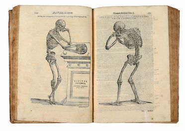  Vesalius Andreas : Anatomia. Medicina, Anatomia, Figurato, Medicina, Collezionismo e Bibliografia  Francesco Valegio, Rufus Ephesius  - Auction Books & Graphics - Libreria Antiquaria Gonnelli - Casa d'Aste - Gonnelli Casa d'Aste