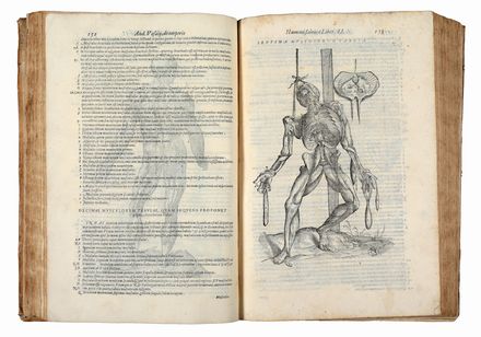  Vesalius Andreas : Anatomia.  Francesco Valegio, Rufus Ephesius  - Asta Libri & Grafica - Libreria Antiquaria Gonnelli - Casa d'Aste - Gonnelli Casa d'Aste