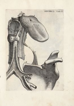  Morgagni Giovanni Battista : Adversaria anatomica omnia... (-tertia).  - Asta Libri & Grafica - Libreria Antiquaria Gonnelli - Casa d'Aste - Gonnelli Casa d'Aste