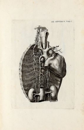  Morgagni Giovanni Battista : Opera omnia in quinque tomos divisa. Quorum operum quae antea, et ubi, et quae nunc sint edita, praefatio ostendet. Tomus primus (-quintus). Medicina  Giovanni Volpato  (Bassano del Grappa, 1735 - Roma, 1803)  - Auction Books & Graphics - Libreria Antiquaria Gonnelli - Casa d'Aste - Gonnelli Casa d'Aste