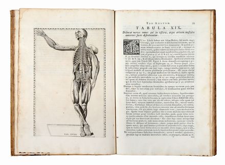  Eustachi Bartolomeo : Tabulae anatomicae [...] Praefatione ac notis illustravit Joh. Maria Lancisius... Medicina, Anatomia, Figurato, Medicina, Collezionismo e Bibliografia  Giovanni Maria Lancisi, Carlo Gregori  - Auction Books & Graphics - Libreria Antiquaria Gonnelli - Casa d'Aste - Gonnelli Casa d'Aste