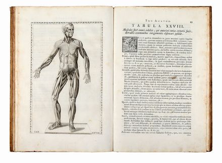  Eustachi Bartolomeo : Tabulae anatomicae [...] Praefatione ac notis illustravit Joh. Maria Lancisius... Medicina, Anatomia, Figurato, Medicina, Collezionismo e Bibliografia  Giovanni Maria Lancisi, Carlo Gregori  - Auction Books & Graphics - Libreria Antiquaria Gonnelli - Casa d'Aste - Gonnelli Casa d'Aste