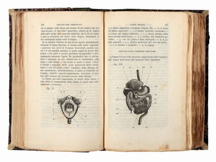  Mengozzi Giovanni Ettore : Medicina domestica omeopatica considerata siccome ramo di educazione... Medicina  - Auction Books & Graphics - Libreria Antiquaria Gonnelli - Casa d'Aste - Gonnelli Casa d'Aste