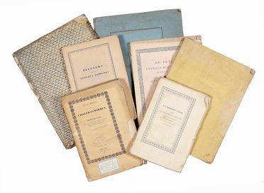  Pignacca Antonio : Un preservativo contro gli assalimenti cholerici...  Giuseppe Ganz, Santo Nobili, Giuseppe Barbieri  - Asta Libri & Grafica - Libreria Antiquaria Gonnelli - Casa d'Aste - Gonnelli Casa d'Aste