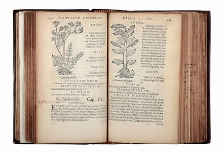  Fuchs Leonhart : De historia stirpium commentarij insignes. Adiectis earundem vivis, & ad naturae imitationem artificiose expressis imaginibus...  Cl�ment Boussy  - Asta Libri & Grafica - Libreria Antiquaria Gonnelli - Casa d'Aste - Gonnelli Casa d'Aste