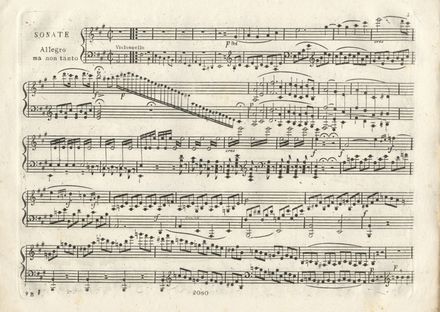  Beethoven Ludwig van : Sonata / per il / Clavicembalo con Violoncello / [...] / Op. 59. Musica, Musica, Teatro, Spettacolo  - Auction Books & Graphics - Libreria Antiquaria Gonnelli - Casa d'Aste - Gonnelli Casa d'Aste