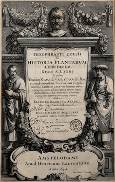 Theophrastus : De historia plantarum libri decem, Graec� & Latin� [...]. Latinam Gazae versionem nova interpretatione ad margines [...] item rariorum plantarum iconibus illustravit Ioannes Bodaeus � Stapel...  Teodoro Gaza, Iulius Caesar (Bordoni Giulio) Scaliger  (1484 - 1558), Johannes Bodaeus  - Asta Libri & Grafica - Libreria Antiquaria Gonnelli - Casa d'Aste - Gonnelli Casa d'Aste