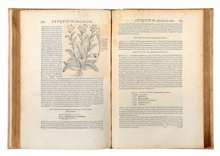  L'Obel Matthias (de) : Plantarum seu Stirpium Historia [...] cui annexum est adversariorum volumen.  Pierre Pena  - Asta Libri & Grafica - Libreria Antiquaria Gonnelli - Casa d'Aste - Gonnelli Casa d'Aste