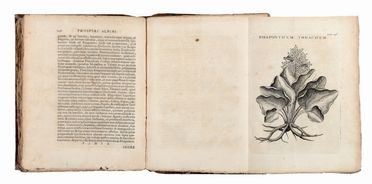  Alpino Prospero : Medicina Aegyptiorum [...] De balsamo, et rhapontico [...] Medicina Indorum. Medicina, Orientalia, Egittologia, Geografia e viaggi, Storia, Diritto e Politica  Jacob (de) Bondt  - Auction Books & Graphics - Libreria Antiquaria Gonnelli - Casa d'Aste - Gonnelli Casa d'Aste