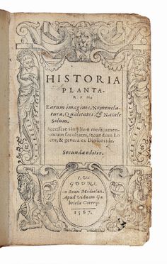  Du Pinet Antoine : Historia plantarum, earum imagines, nomenclaturae, qualitates & natale solum. Accessere simplicium medicamentorum facultates, secundum locos & genera ex Dioscoride...  Pietro Andrea Mattioli  (Siena, 1501 - Trento, 1578)  - Asta Libri & Grafica - Libreria Antiquaria Gonnelli - Casa d'Aste - Gonnelli Casa d'Aste