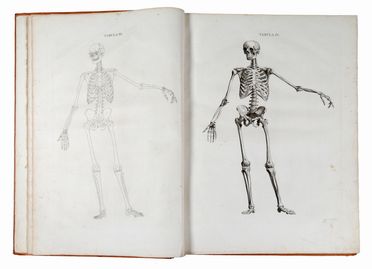  Caldani Leopoldo Marco Antonio, Caldani Floriano : Icones anatomicae quotquot sunt celebriores ex optimis neotericorum operibus summa diligentia depromptae et collectae... (-Volumins tertii sectio altera).  - Asta Libri & Grafica - Libreria Antiquaria Gonnelli - Casa d'Aste - Gonnelli Casa d'Aste