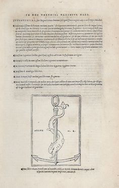  Perotto Niccolò : In hoc volumine habentur haec Cornucopiae, sive linguae latinae commentarii...  Marcus Terentius Varro, Sextus Pompeius Festus, Nonius Marcellus  - Asta Libri & Grafica - Libreria Antiquaria Gonnelli - Casa d'Aste - Gonnelli Casa d'Aste