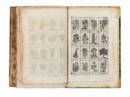  Lemery Nicolas : Dizionario overo trattato universale delle droghe semplici...	 Farmacologia, Dizionari, Botanica, Medicina, Figurato, Medicina, Letteratura, Scienze naturali, Collezionismo e Bibliografia  - Auction Books & Graphics - Libreria Antiquaria Gonnelli - Casa d'Aste - Gonnelli Casa d'Aste