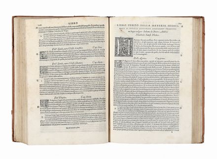  Mattioli Pietro Andrea, Dioscorides Pedanius : Libri cinque della historia, & materia medicinale tradotti in lingua volgare Italiana [...]. Con amplissimi Discorsi et commenti, et dottissime annotatione et censure del medesimo interprete... Botanica, Scienze naturali, Medicina, Scienze naturali  - Auction Books & Graphics - Libreria Antiquaria Gonnelli - Casa d'Aste - Gonnelli Casa d'Aste