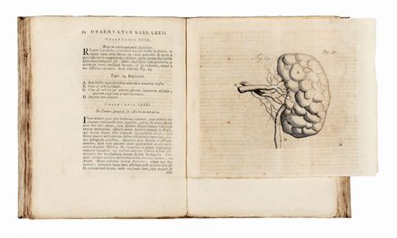  Ruysch Frederik : Observationum anatomico-chirurgicarum centuria. Accedit Catalogo rariorum, quae in Museo Ruyschiano osservantur.  - Asta Libri & Grafica - Libreria Antiquaria Gonnelli - Casa d'Aste - Gonnelli Casa d'Aste