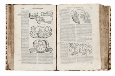  Mattioli Pietro Andrea, Dioscorides Pedanius : I discorsi [...] ne i sei libri della materia medicinale di Pedacio Dioscoride Anazarbeo [...]. Con le Figure tirate dalle naturali, & vive piante, & Animali, in numero molto maggiore...  - Asta Libri & Grafica - Libreria Antiquaria Gonnelli - Casa d'Aste - Gonnelli Casa d'Aste