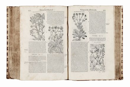  Mattioli Pietro Andrea, Dioscorides Pedanius : I discorsi [...] ne i sei libri della materia medicinale di Pedacio Dioscoride Anazarbeo [...]. Con le Figure tirate dalle naturali, & vive piante, & Animali, in numero molto maggiore...  - Asta Libri & Grafica - Libreria Antiquaria Gonnelli - Casa d'Aste - Gonnelli Casa d'Aste