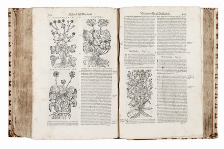  Mattioli Pietro Andrea, Dioscorides Pedanius : I discorsi [...] ne i sei libri della materia medicinale di Pedacio Dioscoride Anazarbeo [...]. Con le Figure tirate dalle naturali, & vive piante, & Animali, in numero molto maggiore... Botanica, Scienze naturali, Medicina, Figurato, Scienze naturali, Collezionismo e Bibliografia  - Auction Books & Graphics - Libreria Antiquaria Gonnelli - Casa d'Aste - Gonnelli Casa d'Aste